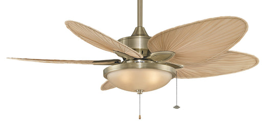 Windpointe 52" Ceiling Fan in Antique Brass / Narrow Oval Natural Palm Blades
