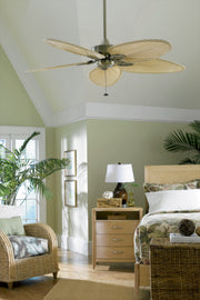 Windpointe 52" Ceiling Fan in Antique Brass / Narrow Oval Natural Palm Blades