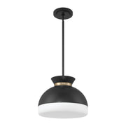 Gidget 2 Light 15" Pendant in Matte Black + Vibrant Gold