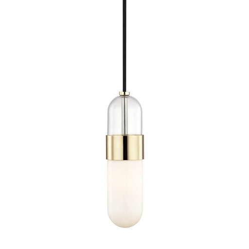Emilia Pendant in Polished Brass