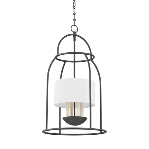Delia 4-Light Lantern Pendant in Aged Iron