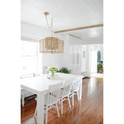 Jayna 4 Light 25" Chandelier in Burnished Silver in a room setting