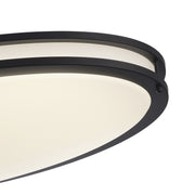 Tavian 32" Oval LED Flush Mount in Black