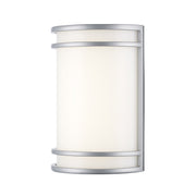 Zorand 10" LED Outdoor Wall Light in Silver