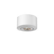 Mini-Puck 3" 2-in-1 Puck Light in White