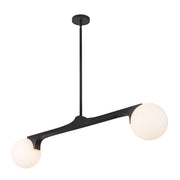 Briar 46" 2-Light Linear Pendant in Black