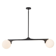 Briar 46" 2-Light Linear Pendant in Black