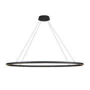 Ovale 53" Linear Pendant in Black