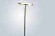 Monet LED Torch Lamp - Lamps Expo
