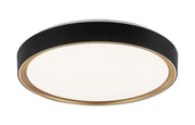 Alamus 19" Flush Mount in Black / Gold