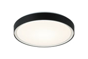 Alamus 19" Flush Mount in Black / White