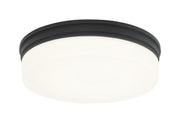 Circian 12" LED Flush Mount in Matte Black