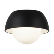 Watson 9" Wall / Ceiling Light in Matte Black