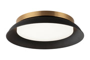 Finley 15" Wall / Ceiling Light in Matte Black / Aged Gold Brass
