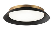 Finley 18" Wall / Ceiling Light in Matte Black / Aged Gold Brass