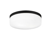 Xenon 2-Light 11" Flush Mount in Black