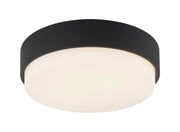 Quintz 2-Light Flush Mount in Matte Black
