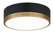 Trydor 2-Light Flush Mount in Black / Aged Gold Brass