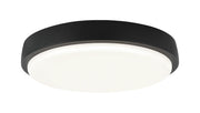 Zane 12" LED Flush Mount in Matte Black