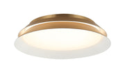 Dahlia 14" LED Wall / Ceiling Light in Aged Gold Brass