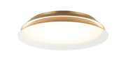 Dahlia 18" LED Wall / Ceiling Light in Aged Gold Brass
