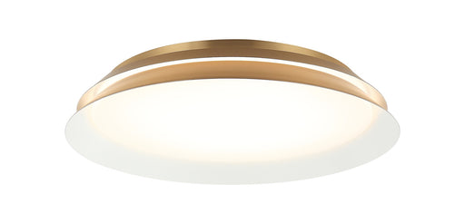 Dahlia 18" LED Wall / Ceiling Light in Aged Gold Brass