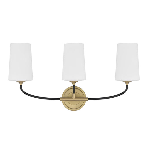 Niles 3 Light 23.5" Bathroom Vanity in Black Forged + Modern Gold