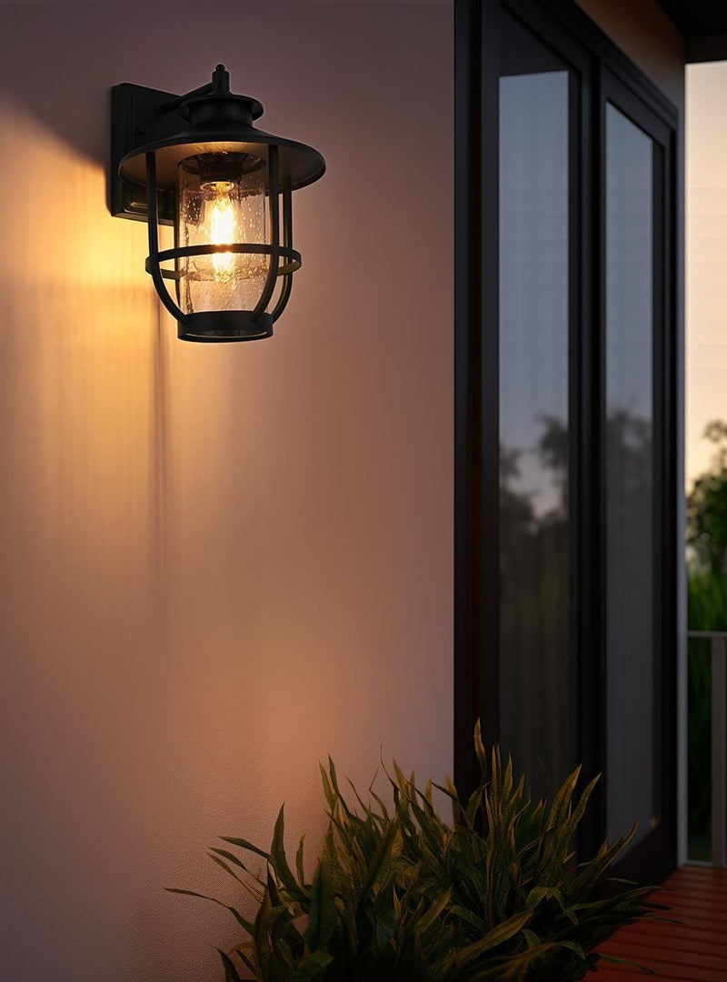 Janney 9" Outdoor Wall Lantern in Black