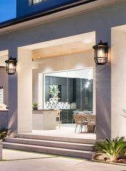 Janney 11" Outdoor Wall Lantern in Black