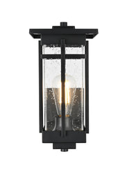 Livingston Outdoor Wall Lantern in Black