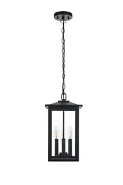 Carlisle 3-Light Outdoor Lantern Pendant in Black