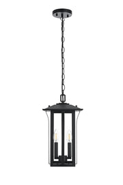 Thayer 2-Light Outdoor Lantern Pendant in Black