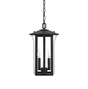 Thayer 2-Light Outdoor Lantern Pendant in Black