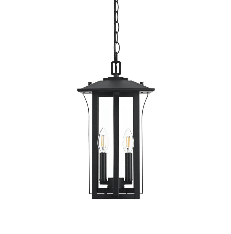 Thayer 2-Light Outdoor Lantern Pendant in Black