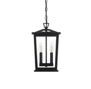 Berks 2-Light Outdoor Lantern Pendant in Black