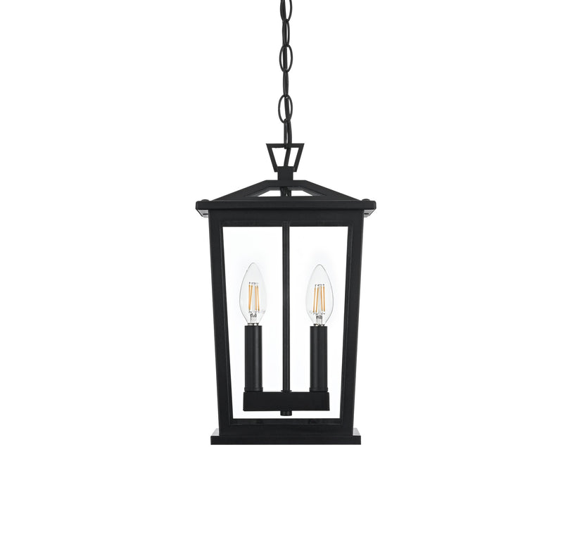 Berks 2-Light Outdoor Lantern Pendant in Black