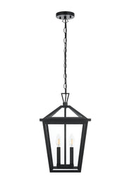 Frankford 2-Light Outdoor Lantern Pendant in Black