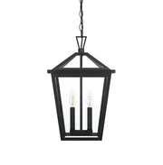Frankford 2-Light Outdoor Lantern Pendant in Black