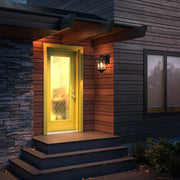 Croskey Outdoor Wall Lantern in Black