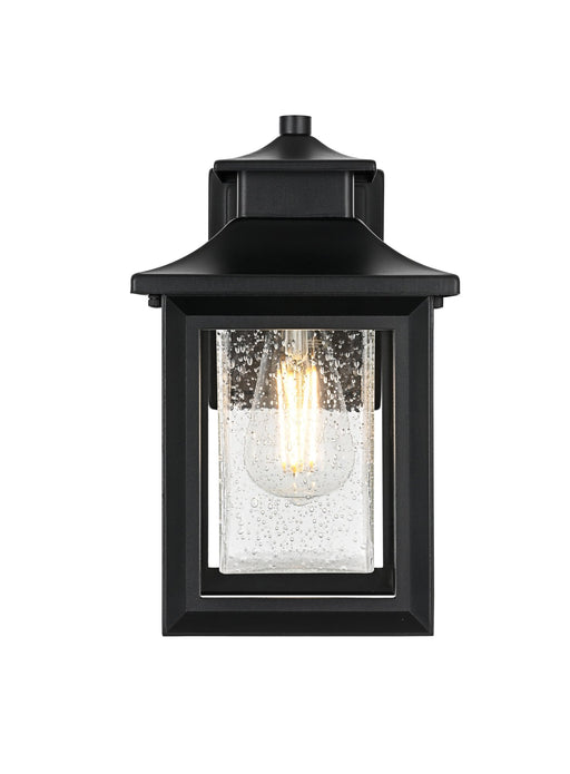 Judson Outdoor Wall Lantern in Black