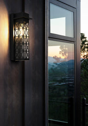 Wildey Large Outdoor Wall Sconce in Black