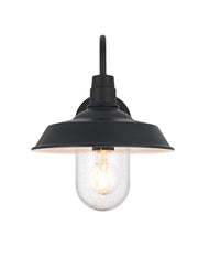 Rayan 10" Outdoor Wall Sconce in Black