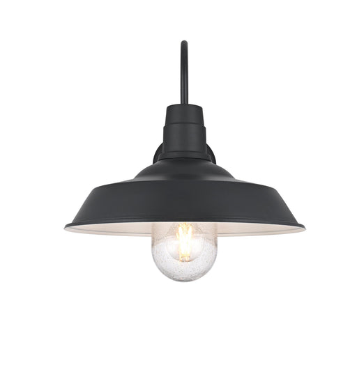 Rayan 14" Outdoor Wall Sconce in Black