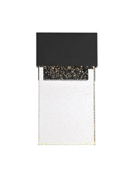 Ronin LED Outdoor Wall Sconce in Black And Clear
