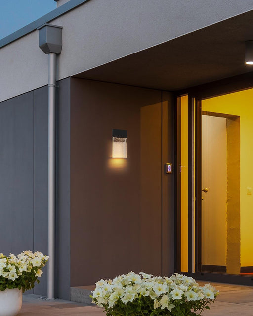 Ronin LED Outdoor Wall Sconce in Black And Clear