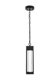 Amaris 15" Outdoor Pendant in Black And Clear