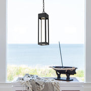 Amaris 15" Outdoor Pendant in Black And Clear