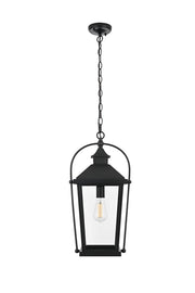 Luz Outdoor Lantern Pendant in Black And Clear