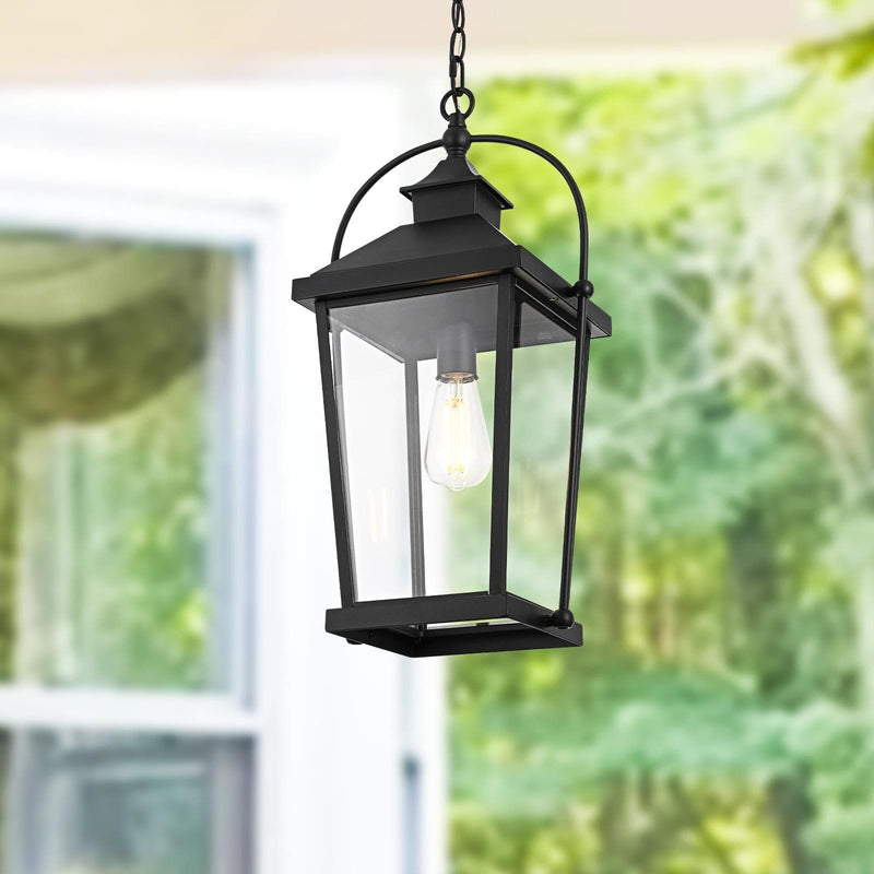 Luz Outdoor Lantern Pendant in Black And Clear