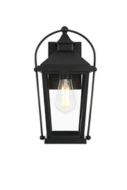 Luz 8" Outdoor Wall Lantern in Black And Clear